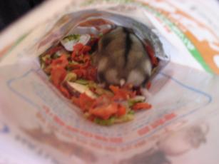 kinako061130 おめでと２