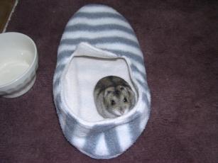 kinako061105 るーむしゅーず