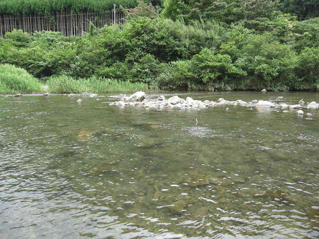 resize2361.jpg
