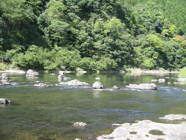 resize0014.jpg