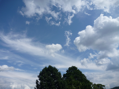 resize2210.jpg