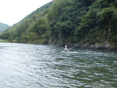 resize2242.jpg