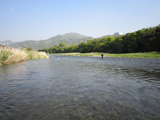 resize1211.jpg