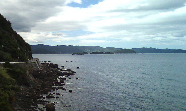 resize1429.jpg