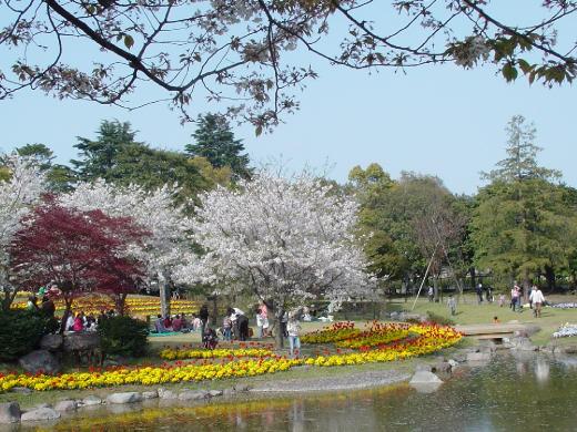 2007.7公園お散歩 036.jpg