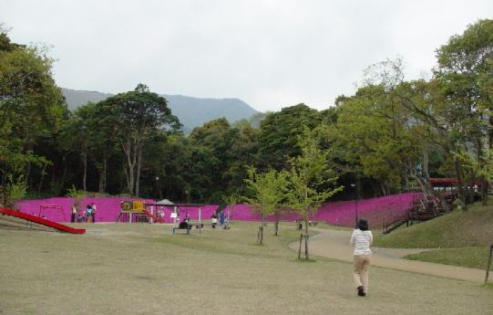 2007.4.21公園 018.jpg