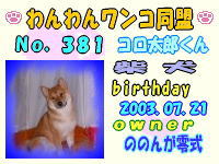 ワンワン：381.jpg