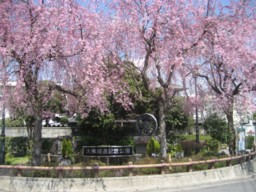 大佛鉄道跡公園.jpg