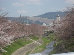 若草山遠望.jpg