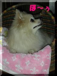 桃子・華子 204.jpg