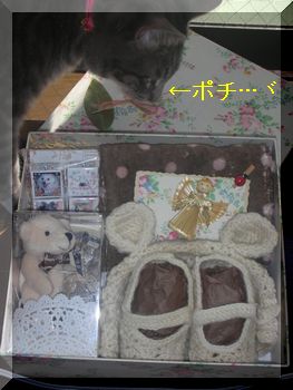 ういそらちゃん.jpg