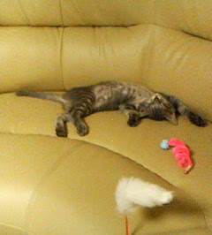 200708251917.jpg