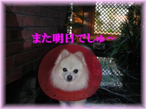 DSCN9456.jpg