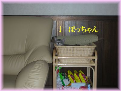 DSCN9499.jpg