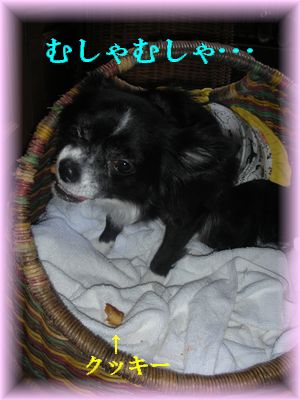 DSCN7295.jpg