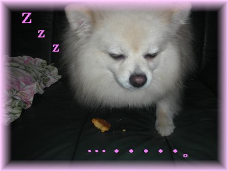 DSCN7298.jpg