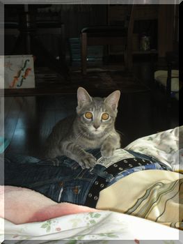 ぽっちゃん 029.jpg