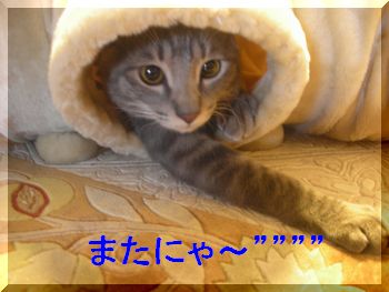 ばいちゃ.jpg