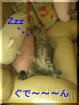 ぐで～ん.jpg