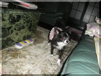 桃子・華子 183.jpg