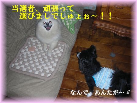 DSCN7522.jpg