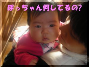 桃華.jpg