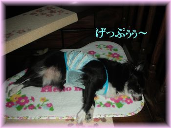 DSCN9231.jpg