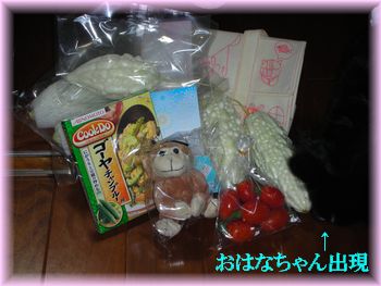 DSCN9343.jpg