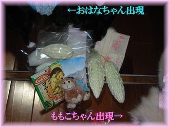 DSCN9342.jpg