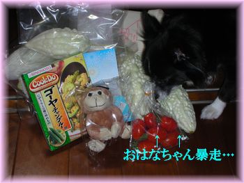 DSCN9344.jpg