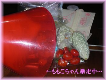 DSCN9346.jpg