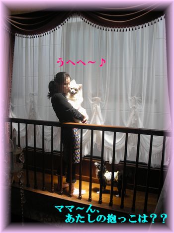 DSCN7344.jpg