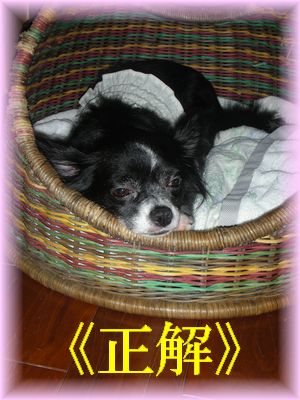 DSCN8297.jpg