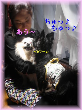DSCN7351.jpg