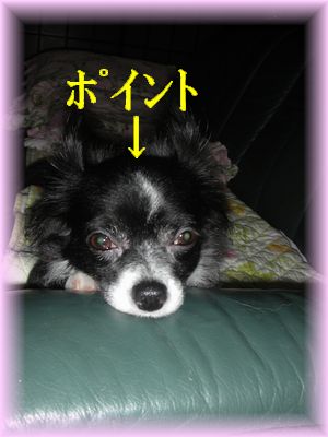 DSCN8265.jpg
