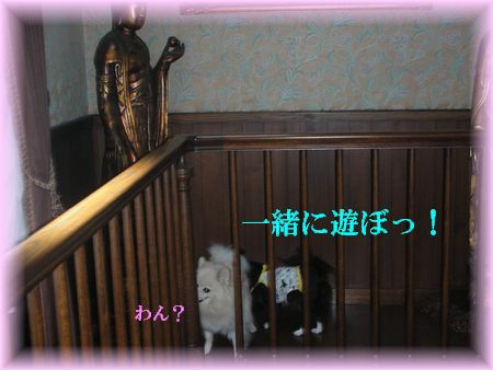 DSCN7361.jpg