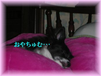 DSCN7447.jpg