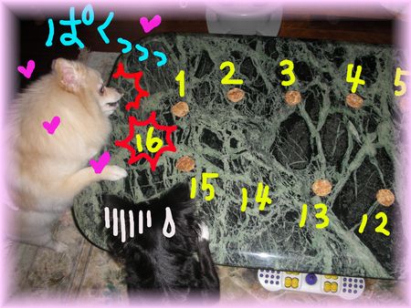 DSCN8438.jpg