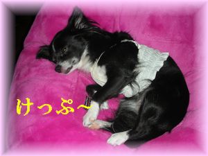 DSCN8434.jpg