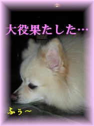 DSCN8366.jpg