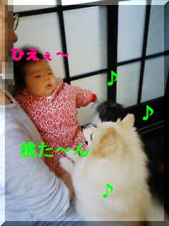 photo.jpg
