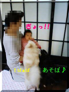 photo2.jpg