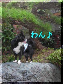 桃子・華子 187.jpg