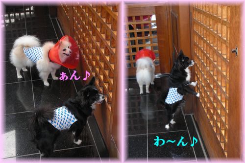 DSCN9441.jpg