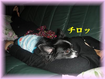 DSCN7456.jpg