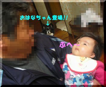 桃華初節句' 002.jpg