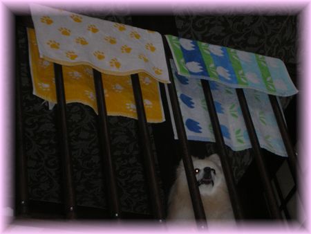DSCN7248.jpg