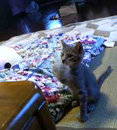 200708261553.jpg