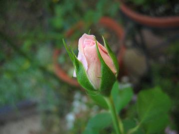 ホーム＆ガーデン