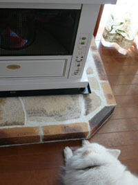 羽衣ちゃん、近すぎ＾＾；